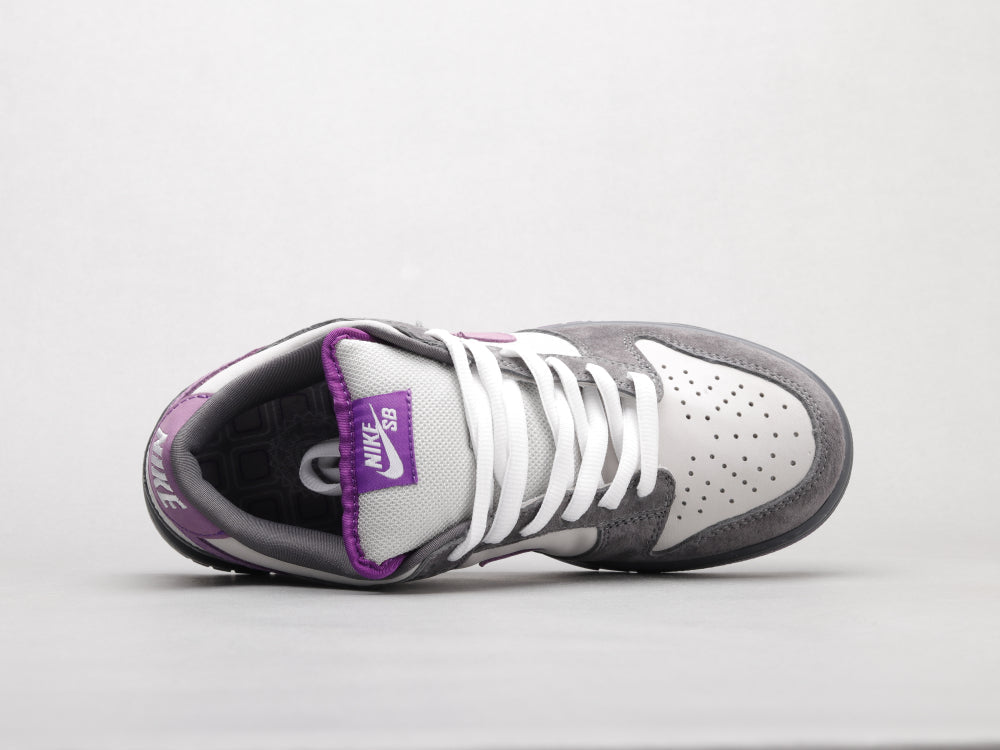 EI -Grey-purple pigeon