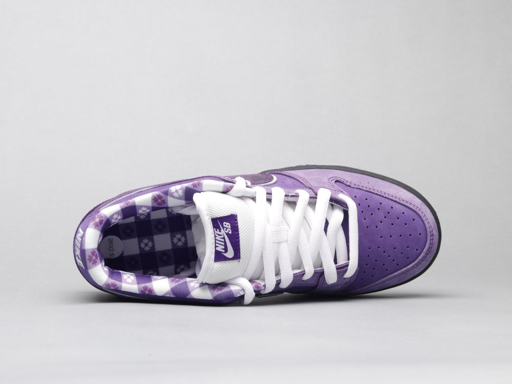 EI -Concepts Purple Lobster